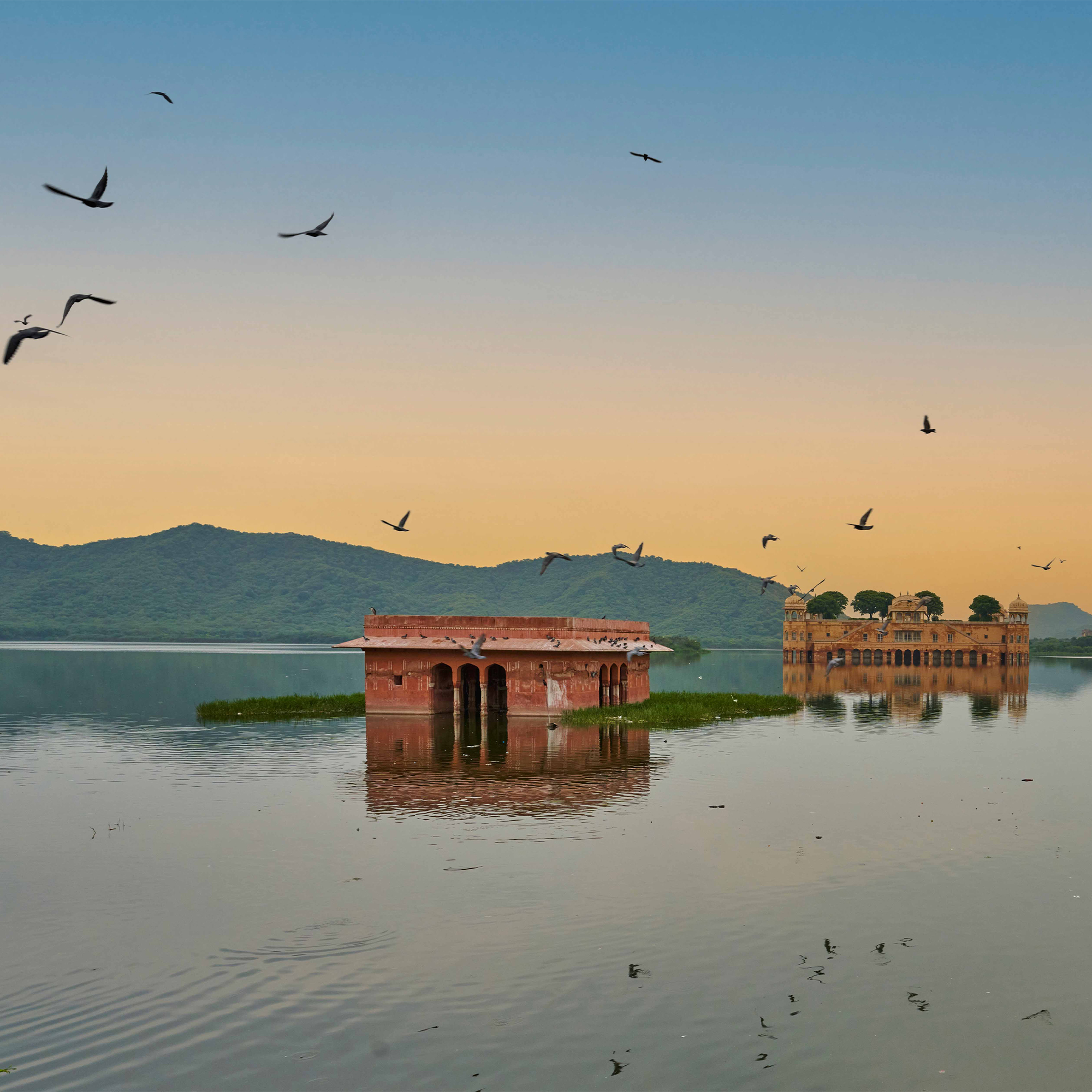 SIGMA 20mm F2 DG DN | Contemporary