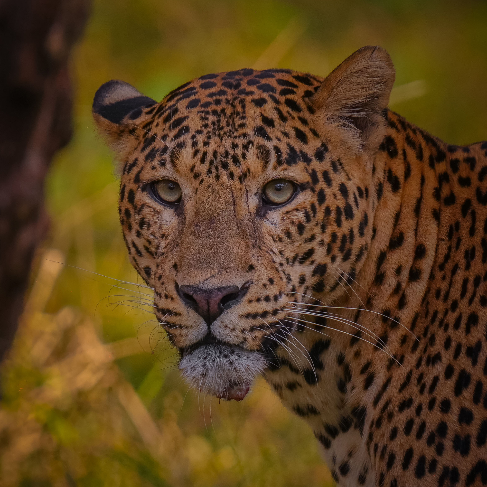 SIGMA 20mm F2 DG DN | Contemporary