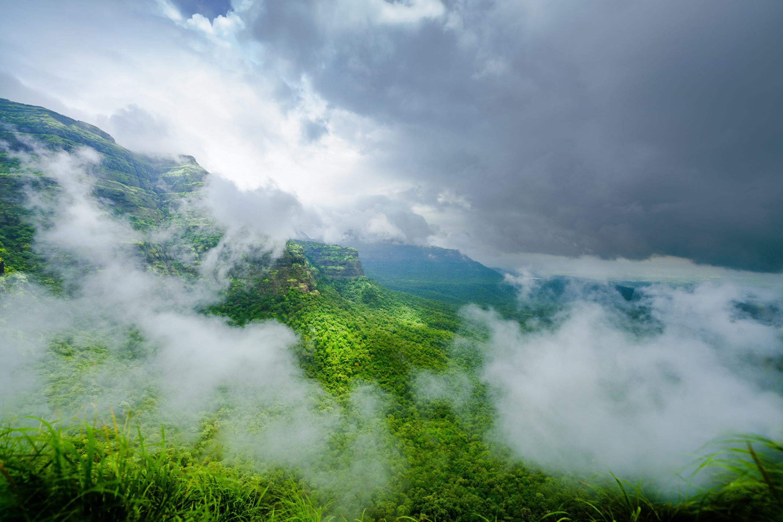 SIGMA 20mm F2 DG DN | Contemporary